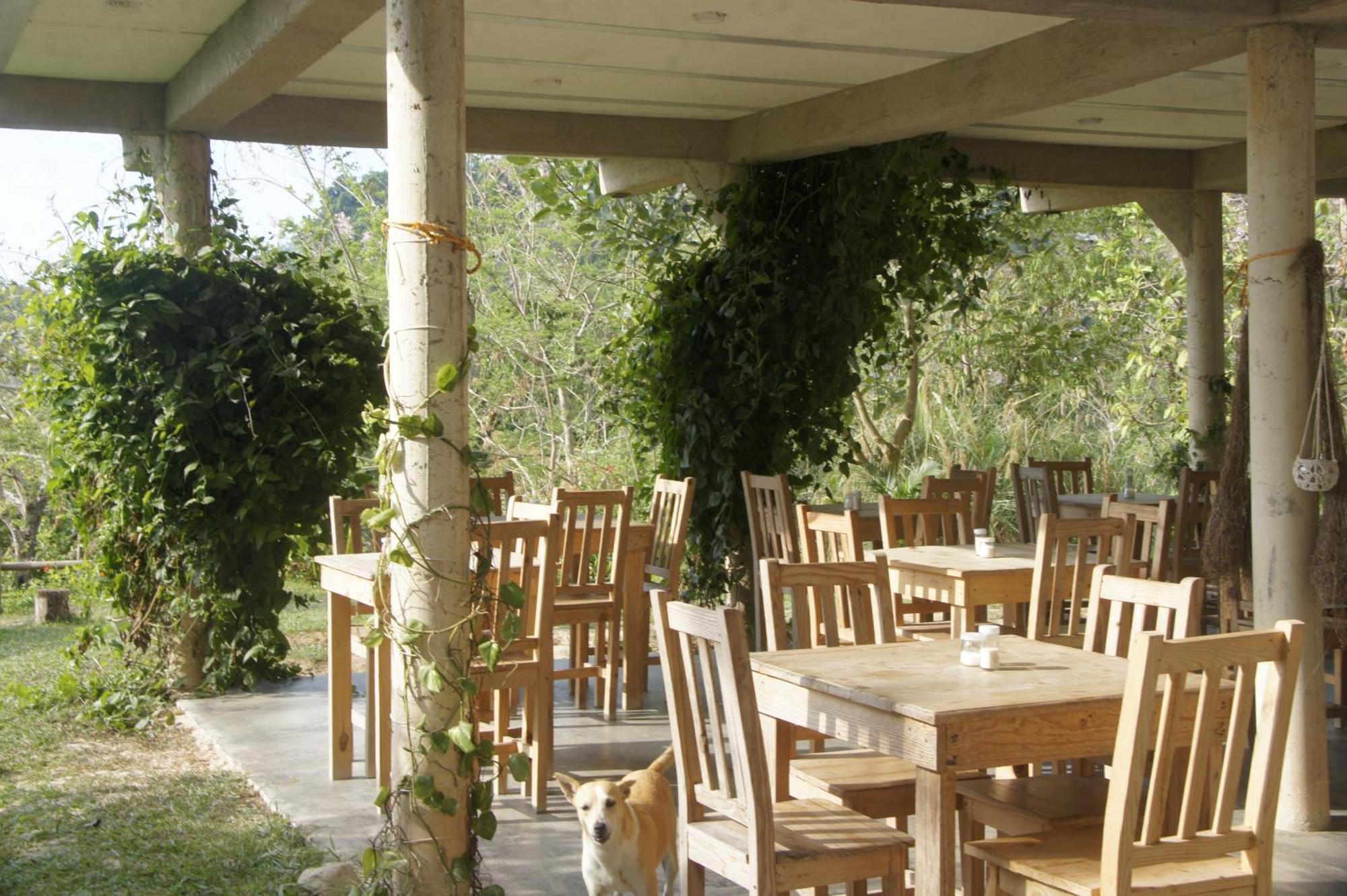 Hostal Vista Verde مينسا المظهر الخارجي الصورة